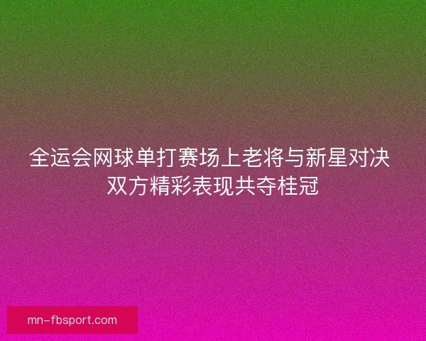 全运会网球单打赛场上老将与新星对决 双方精彩表现共夺桂冠