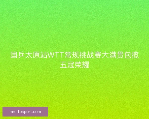 国乒太原站WTT常规挑战赛大满贯包揽五冠荣耀