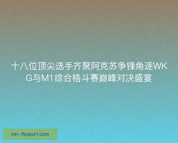 十八位顶尖选手齐聚阿克苏争锋角逐WKG与M1综合格斗赛巅峰对决盛宴